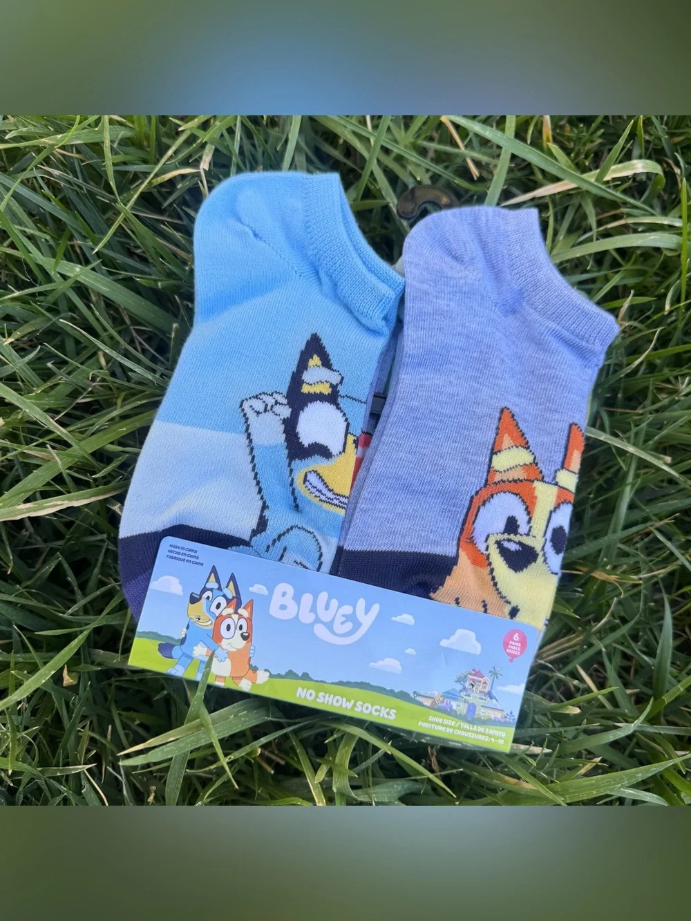 Disney Bluey Bingo Dog Women’s No Show Blue Cute Cartoon 6 Pairs Socks New